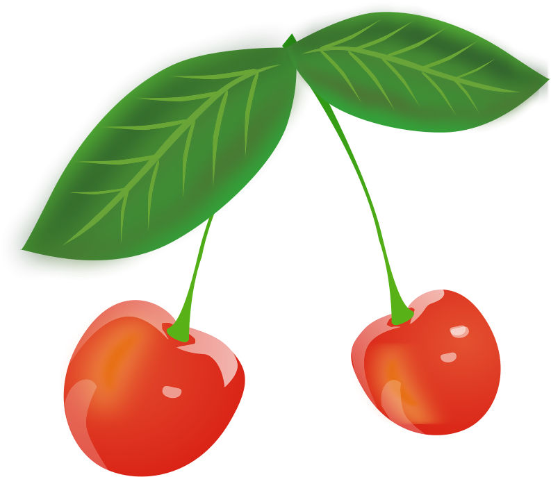 Sour Cherry Fruit Clip Art - Sour Cherry Fruit Clip Art (800x800)