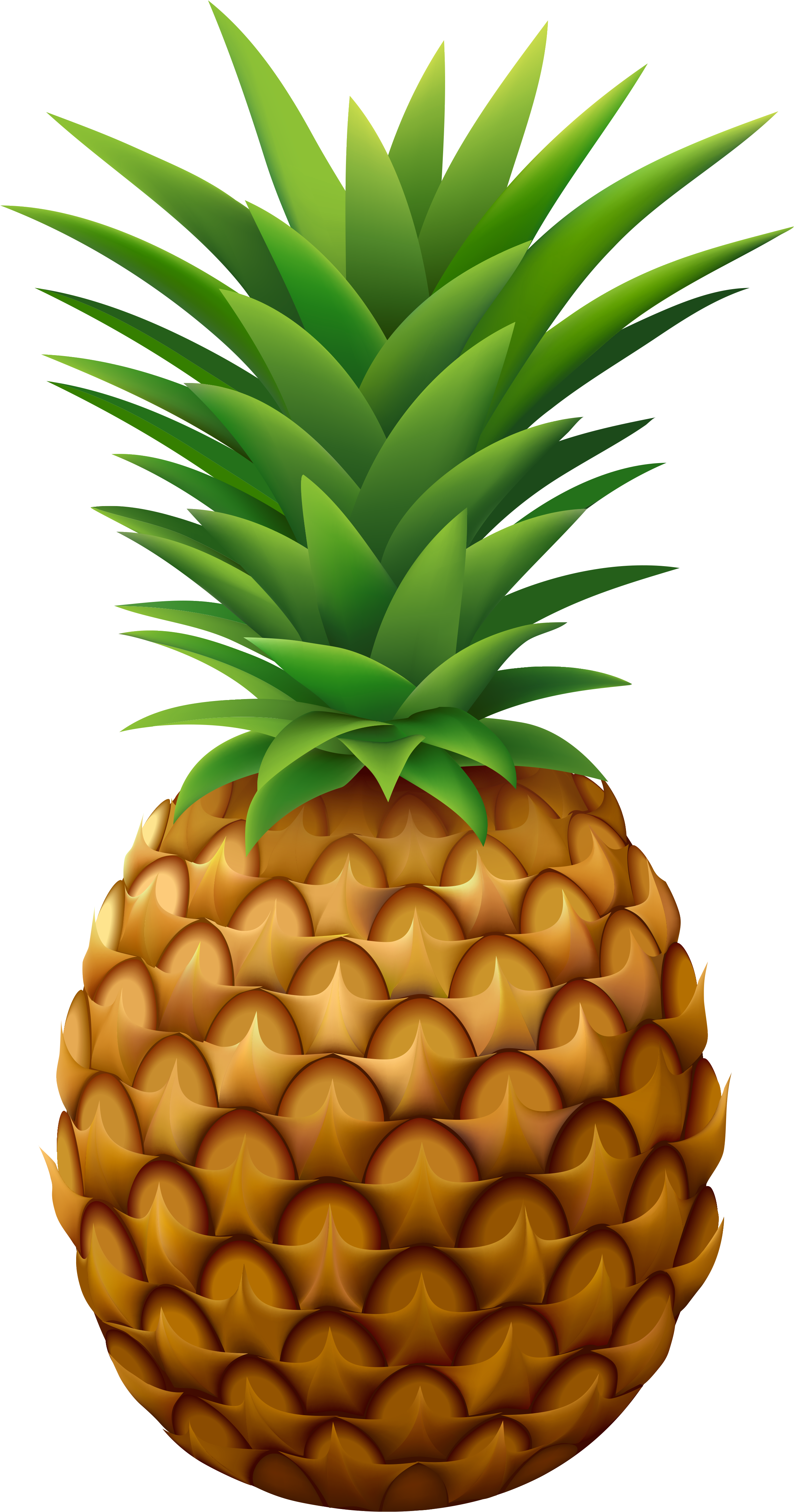Sour Juice Pineapple Food Clip Art - Pineapple Png (2646x4790)