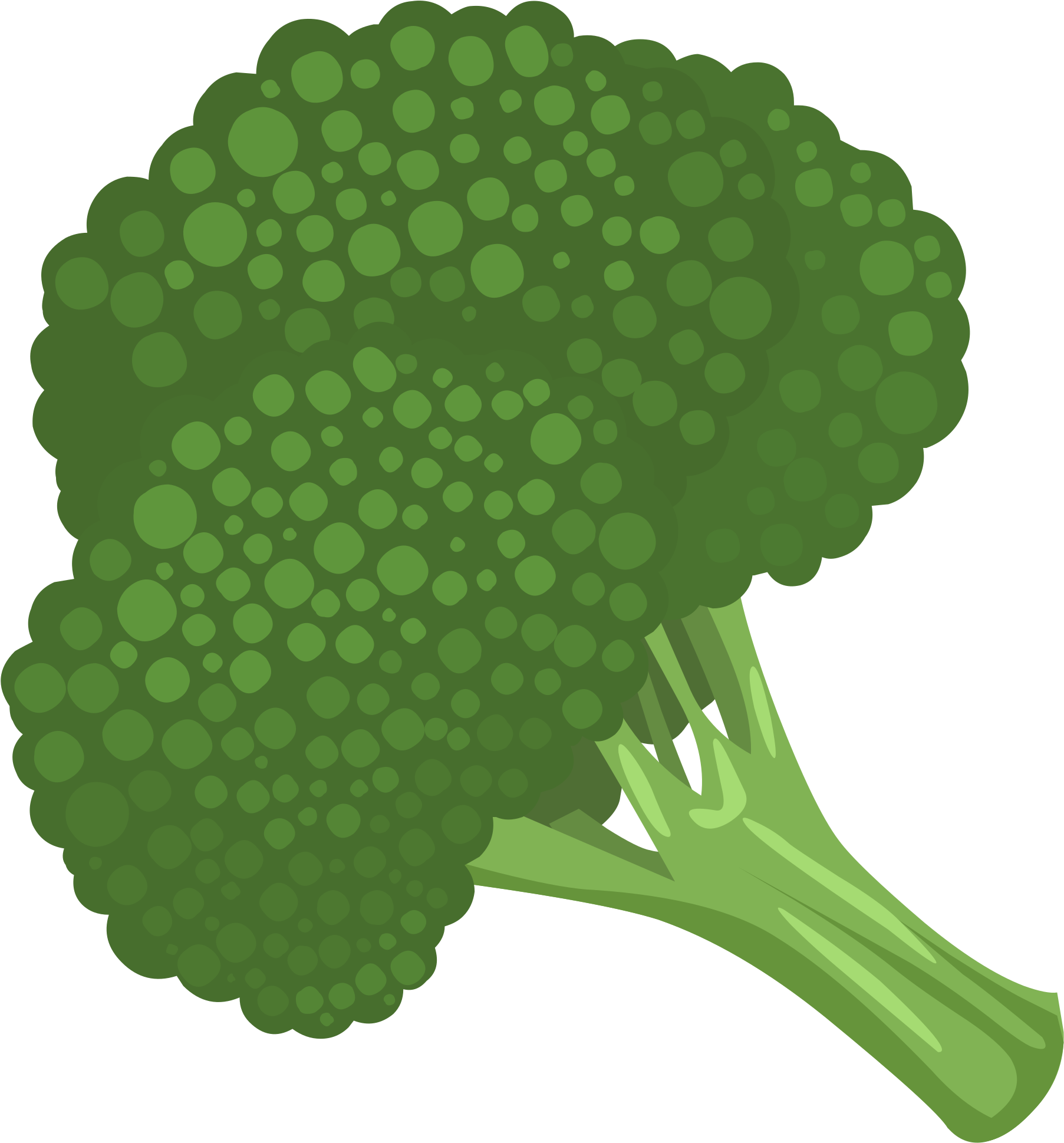 Food Broccoli - Broccoli Clipart (2400x2400)