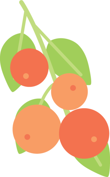 Seedless Fruit (375x600)