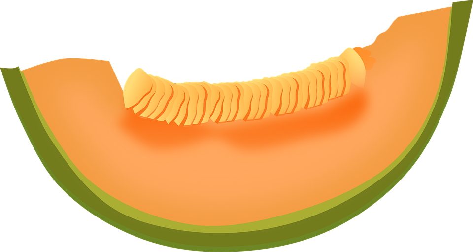 Melon Clipart Transparent Food - Cantaloupe Clipart (960x511)