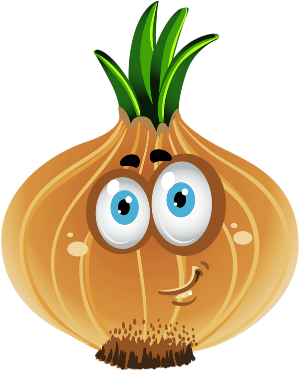 Funny Fruitfunny Foodfood Clipartfruit - Onion Clipart (630x800)