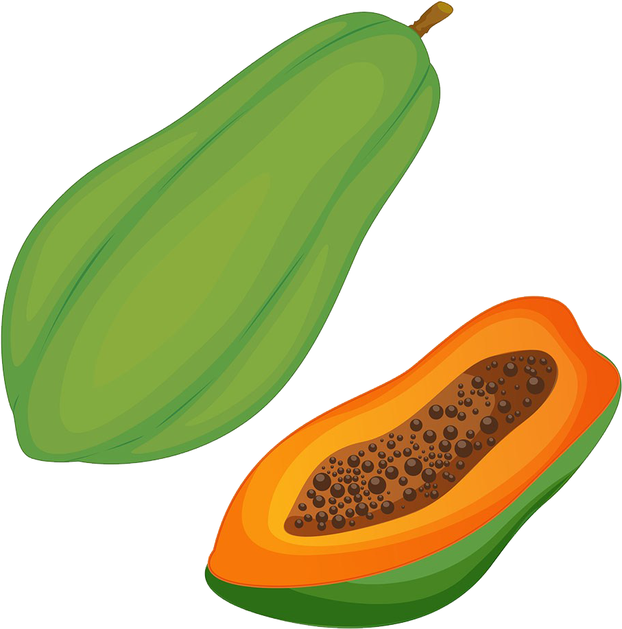 Papaya Pawpaw Clip Art - Papaya Clipart (1009x1024)