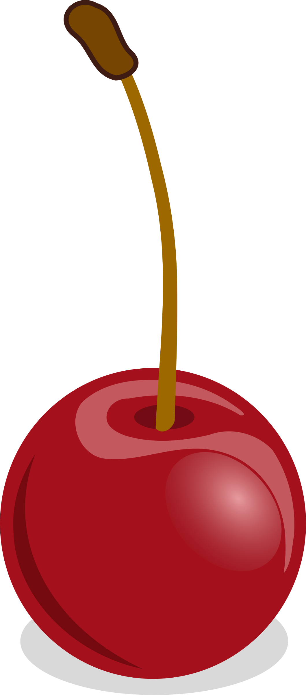 A Shiny, Delicious-looking Cherry - Cherry Clip Art (1059x2400)