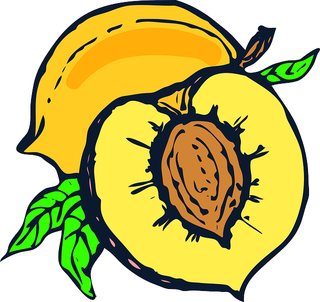 Plant Food, Fruit, Yellow, Cartoon, Free, Peach, Plant - Peach Clip Art (640x605)