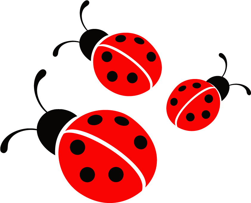 Staying In Showroom Ladybag Clipart, Explore Pictures - Transparent Ladybug (1020x680)
