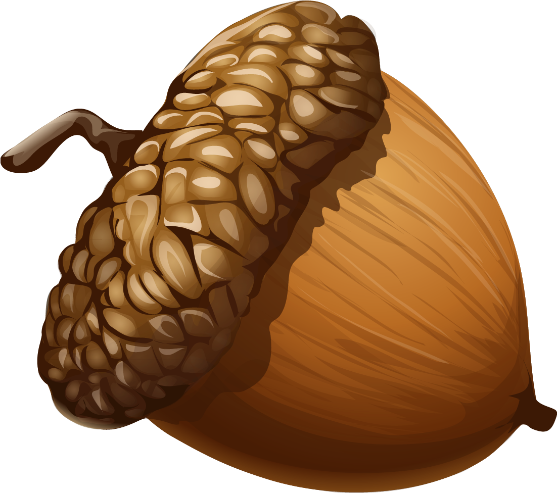 Acorn Clipart 1 Nice Clip Art - Acorn Png (1178x1054)