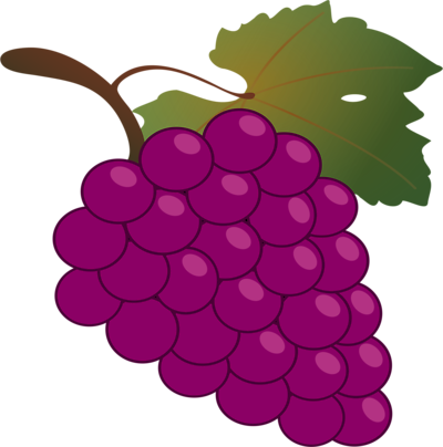 Grapes - Bunch Of Grapes (742x750)