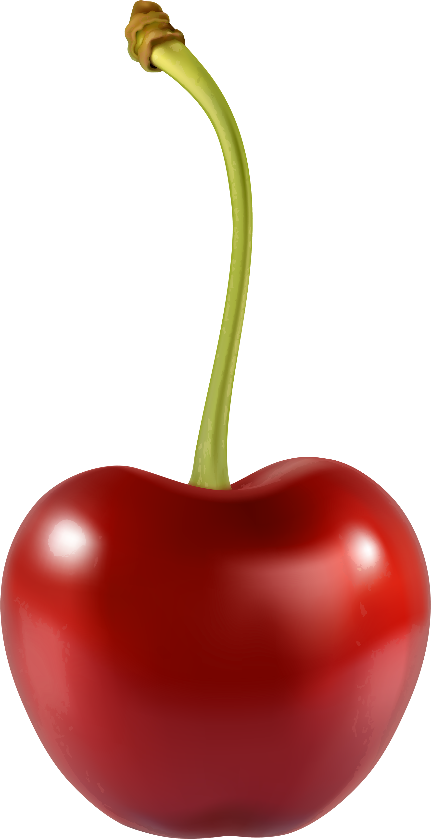 Cherry Png Clipart - Cherry Png (1799x3500)