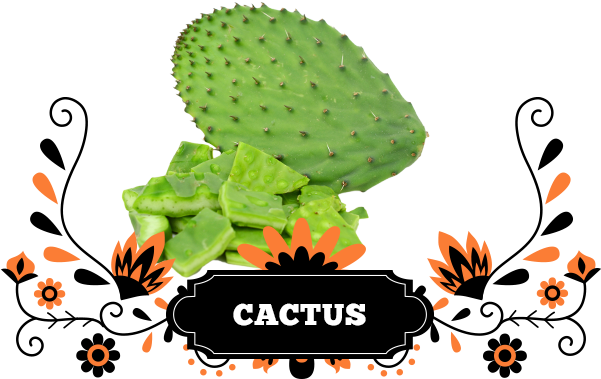 Rest Assured All Our Products Are Quality, Mexican - Corn Tortilla (600x400)