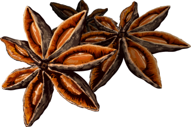 Clip Art Of Spices And Herbs - Star Anise Clip Art (640x426)