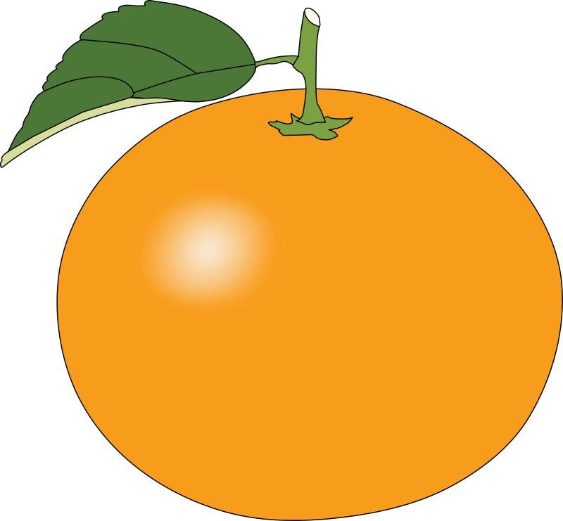Free Round Orange Clip Art U0026middot Orange14 - Orange Clipart (800x741)