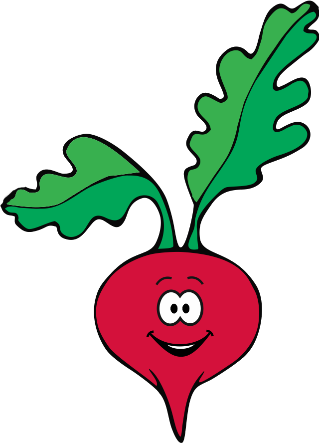 Rabano Co - Raphanus Raphanistrum Subsp. Sativus (648x918)