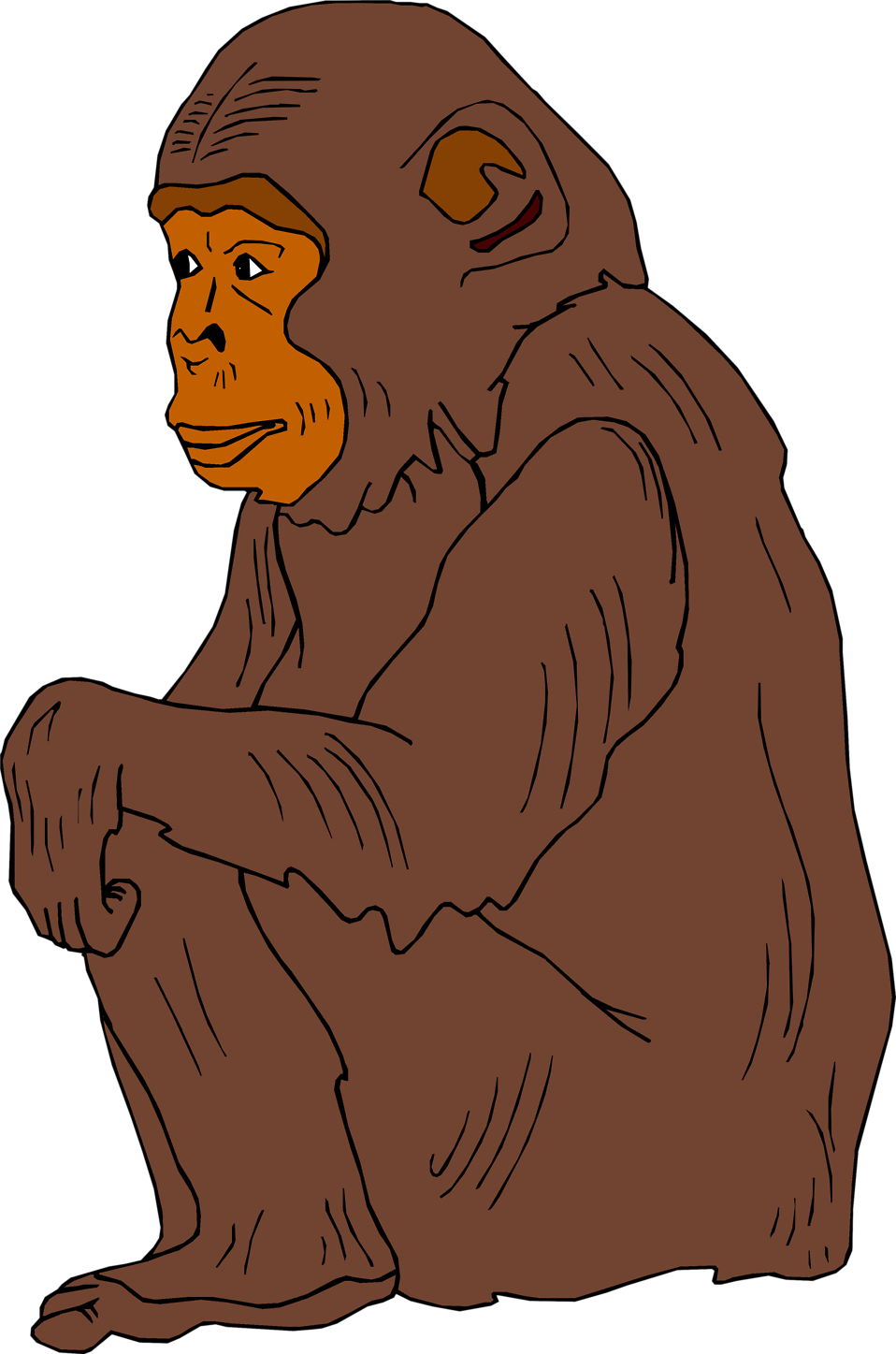 Illustration Of A Chimpanzee - Orangutan Clipart Transparent (958x1447)