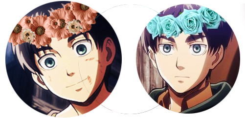 Eren Flower Crown Icon By Erenjaeg3r - ヴァイスシュヴァルツ/“思い出の日々”エレン/進撃の巨人/aots35-021 (550x309)