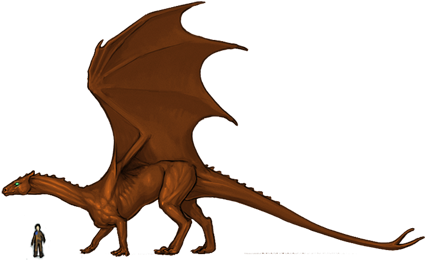 Brown Dragons Brown Dragons Are Male And Range In Size - Dragon (454x268)