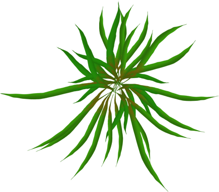 Sea Grass Clipart Animated Gif - Moving Animations Of Plants - (512x512)  Png Clipart Download