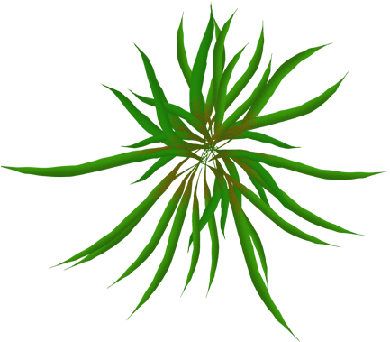 Sea Grass Clipart Animated Gif - Moving Animations Of Plants (512x512)