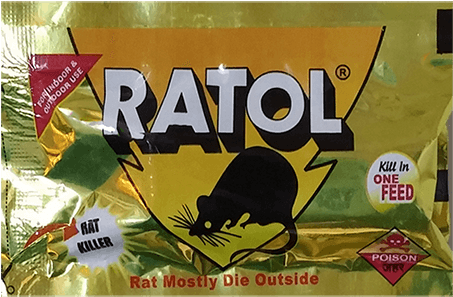 Ratol Cake - Rat (570x570)