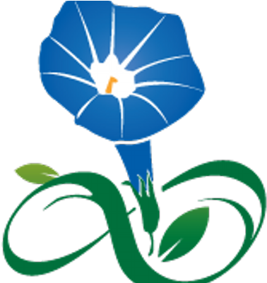 Morning Glory Media - Morning Glory Media (400x400)