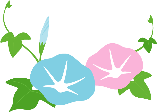 アサガオ - Japanese Morning Glory (700x490)