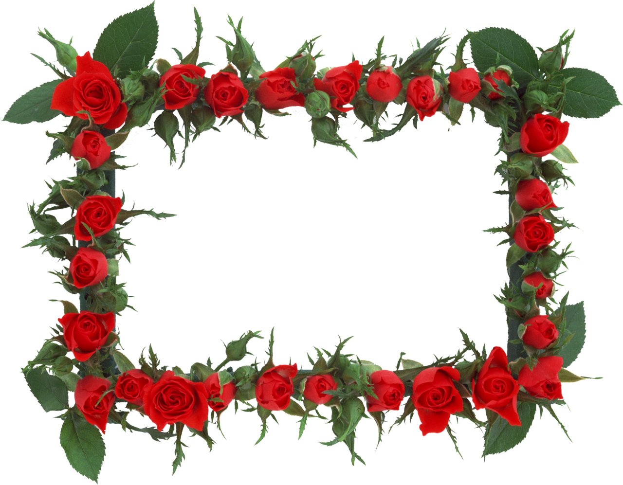 M#sha'ban Islam Ramadan Desktop Wallpaper - Red Rose Flower Frame Png (1280x997)