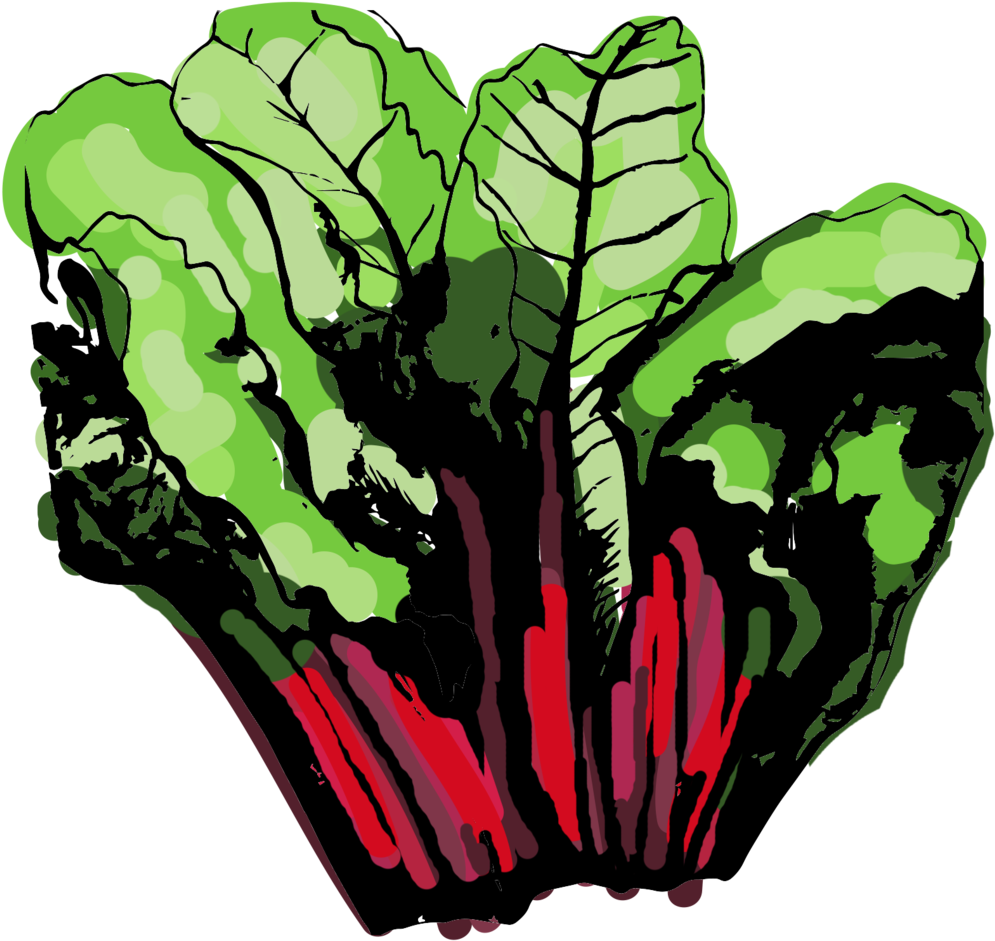 Digital Artwork Created With Adobe Illustrator, Photoshop - Digital Artwork Created With Adobe Illustrator, Photoshop (1000x949)