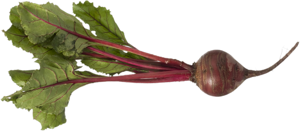 Beet Png Picture - Beets With Roots (1000x439)