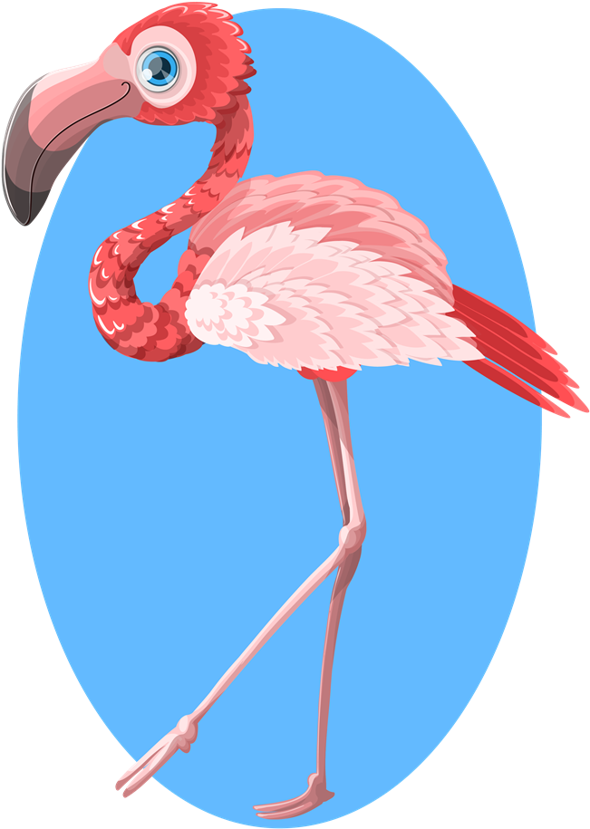 Flamingo Clipart Free - T-shirt (800x986)
