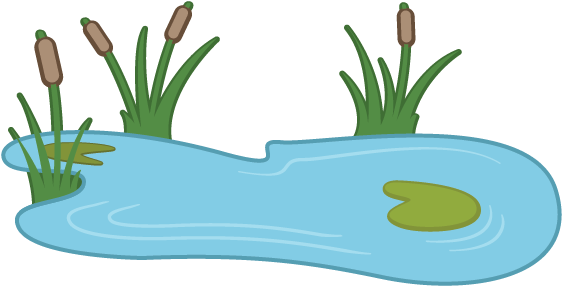Ali Also Said 2 Miters Will Be The Edge Of The Pond - Pond Clipart (561x303)
