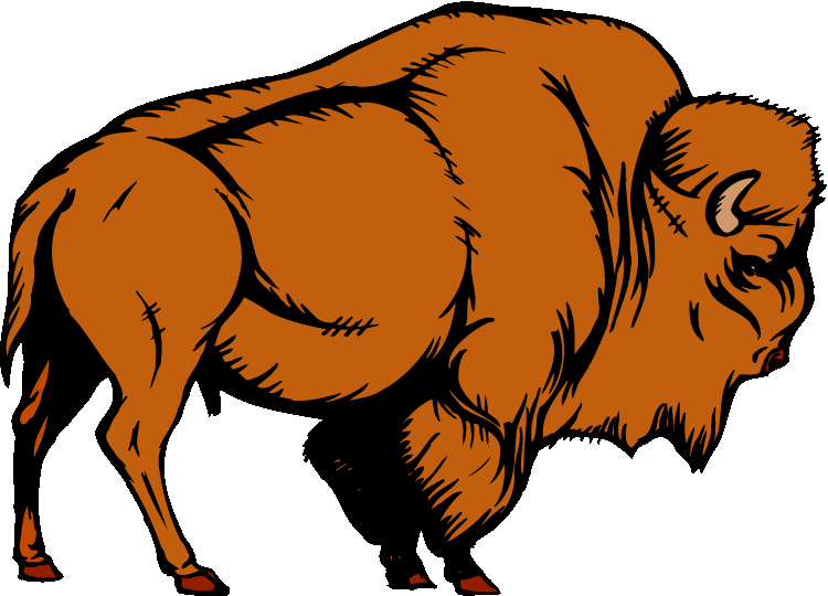 Water Buffalo Clipart Bison - Buffalo Clipart (750x540)