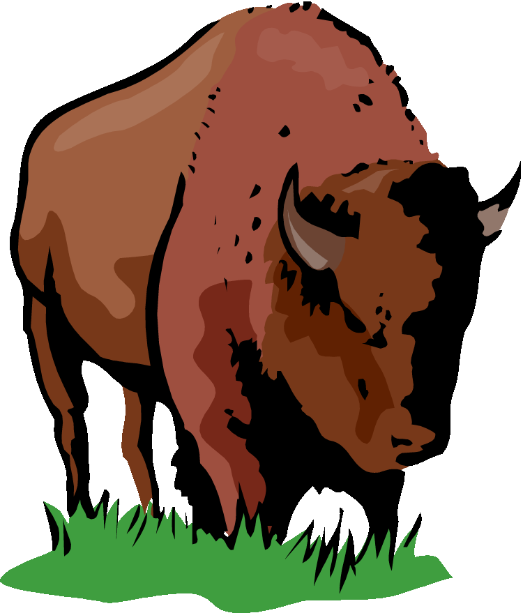 Bison Clipart Buffalo - Clipart Bison (750x879)
