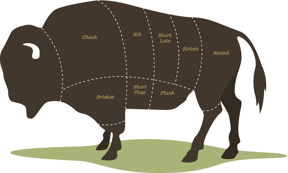 Illustration Of A Bison With Diagrammed Cuts - Bison Cuts (937x561)