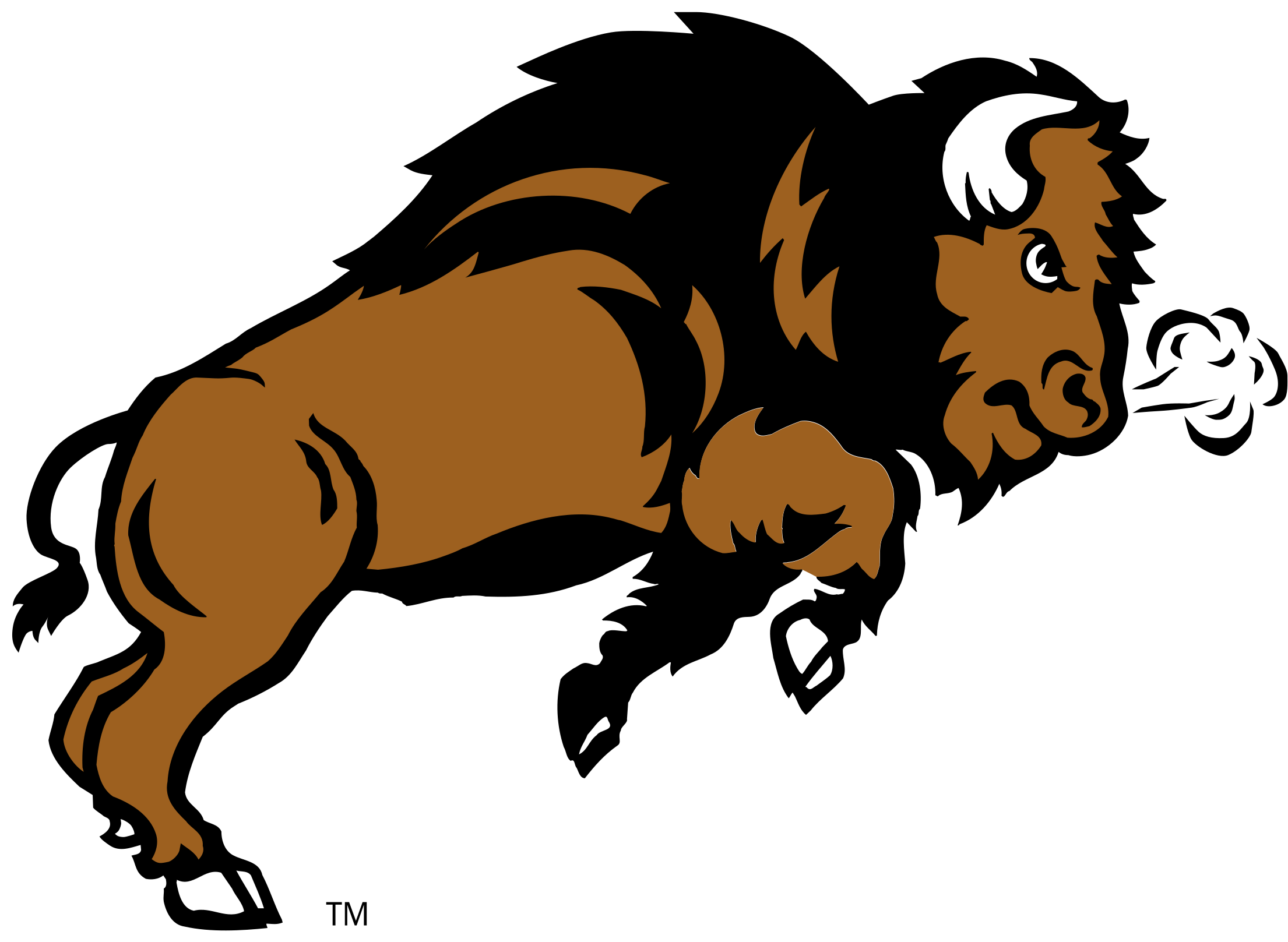 Ndsu Bison Logo Png Transparent - North Dakota State Bison (2400x2400)