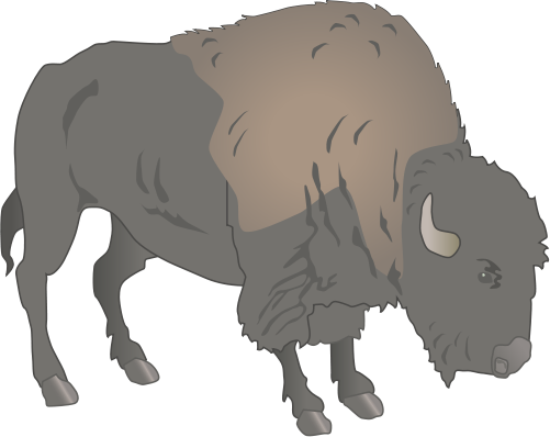 American Bison Svg - Appliqué (501x398)