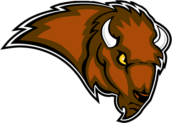 Bison Team Logo (644x569)