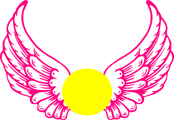 Angel Wings And Halo (600x416)