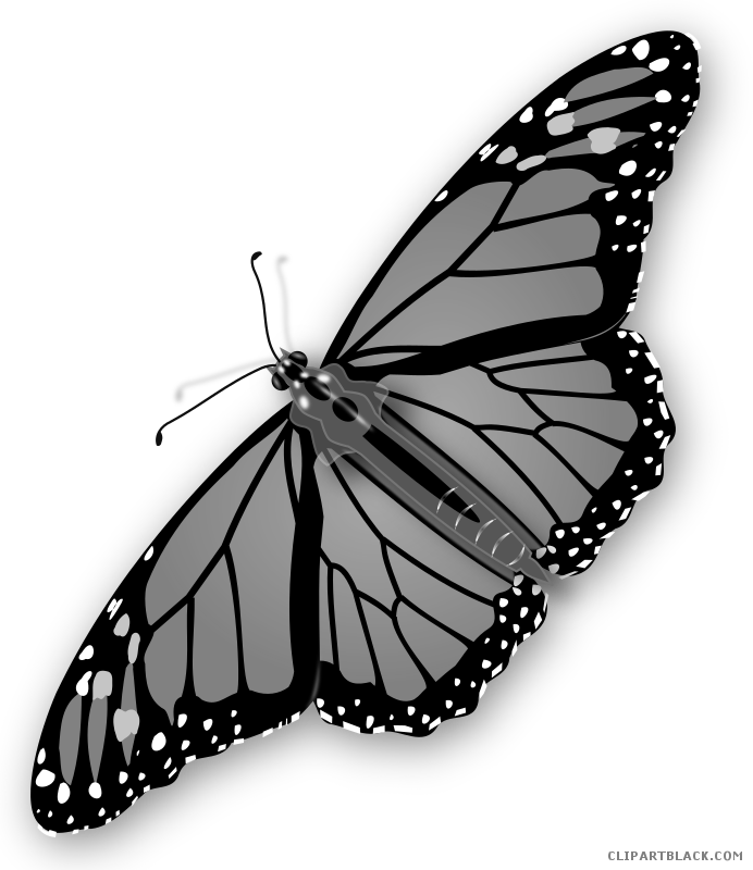 Grayscale Butterfly Animal Free Black White Clipart - Butterfly Clip Art (692x800)