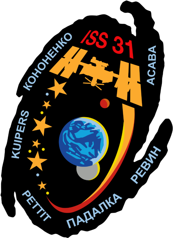Printable Nasa Logo - Expedition 31 (734x768)