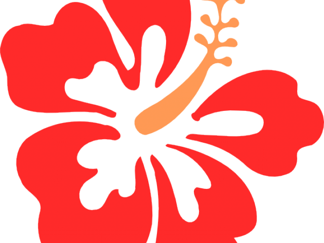 Hibiscus Clipart - Hibiscus Clip Art (640x480)