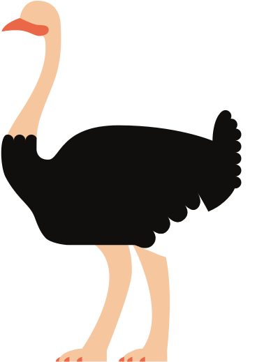 Cartoon Ostrich Isolated - Common Ostrich (550x550)