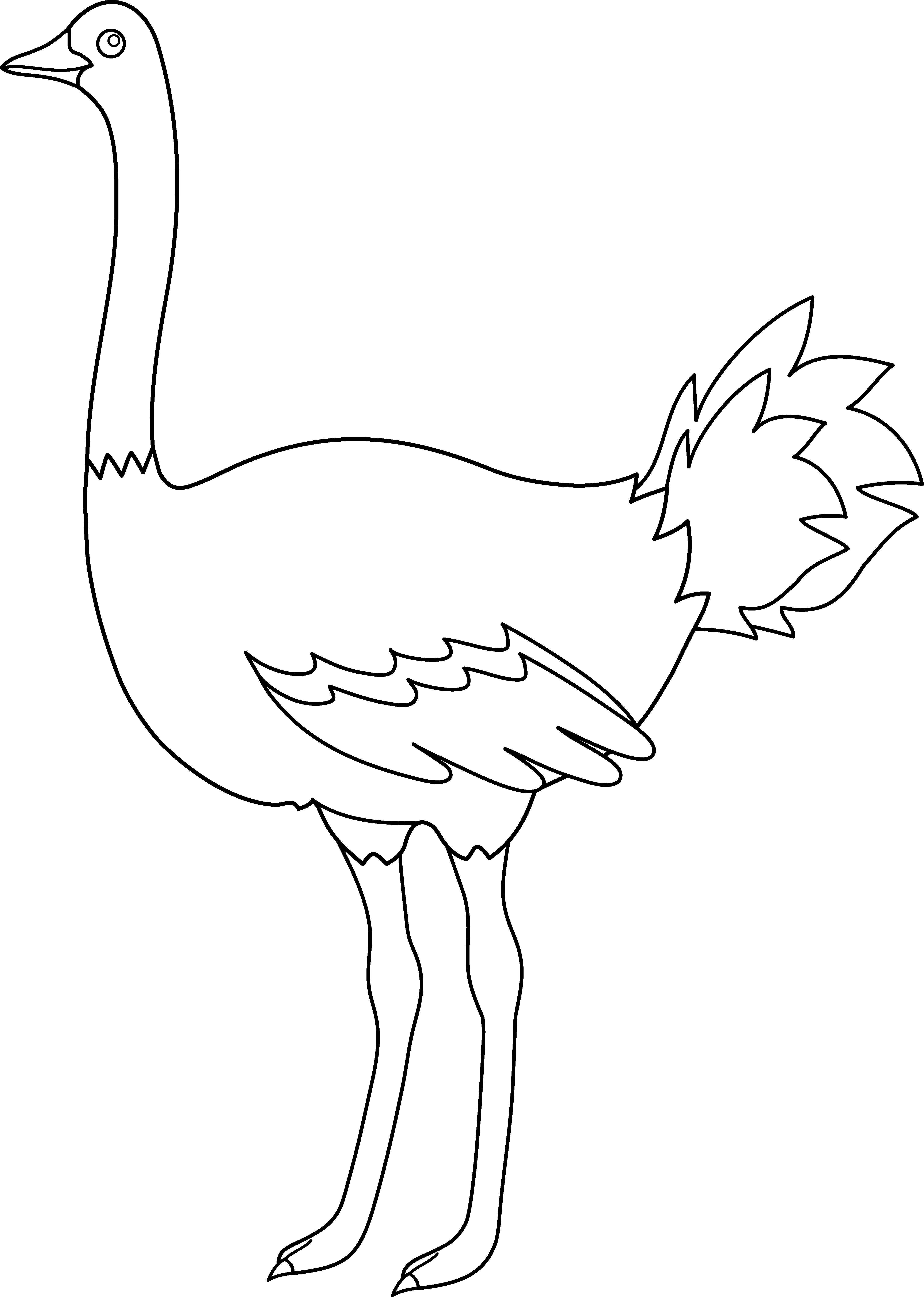 Ostrich Clipart Coloring Page - Ostrich Png Clipart Black And White (4377x6144)