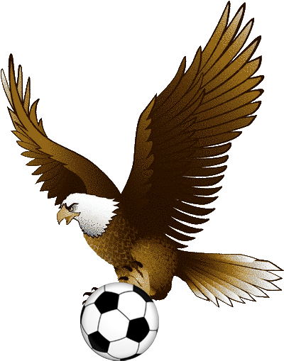Screaming Eagle 3v3-january 22nd, - Free Eagle Scout Court Of Honor Templates (544x609)