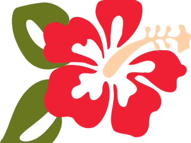 Hibiscus Clipart Hibiscus Leaves - Clip Art Hibiscus Flower (640x480)
