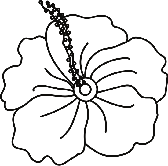 Hibiscus Flower Icon - Line Art (550x543)