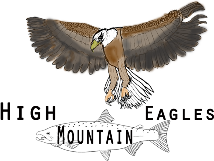 Eagle Engineering (900x600)