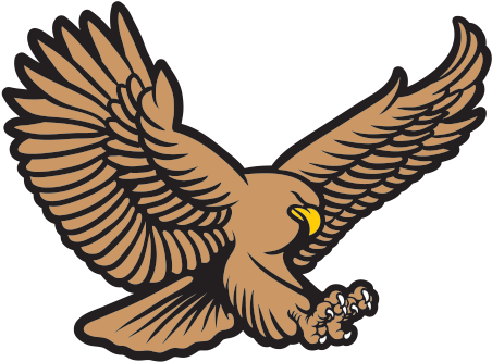 Bald Eagle Hawk Royalty-free - Hawk (600x600)