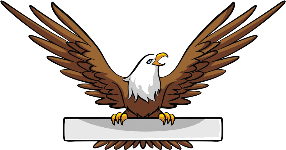 Bald Eagle Banner Illustration - Eagle Vector Png (1000x594)