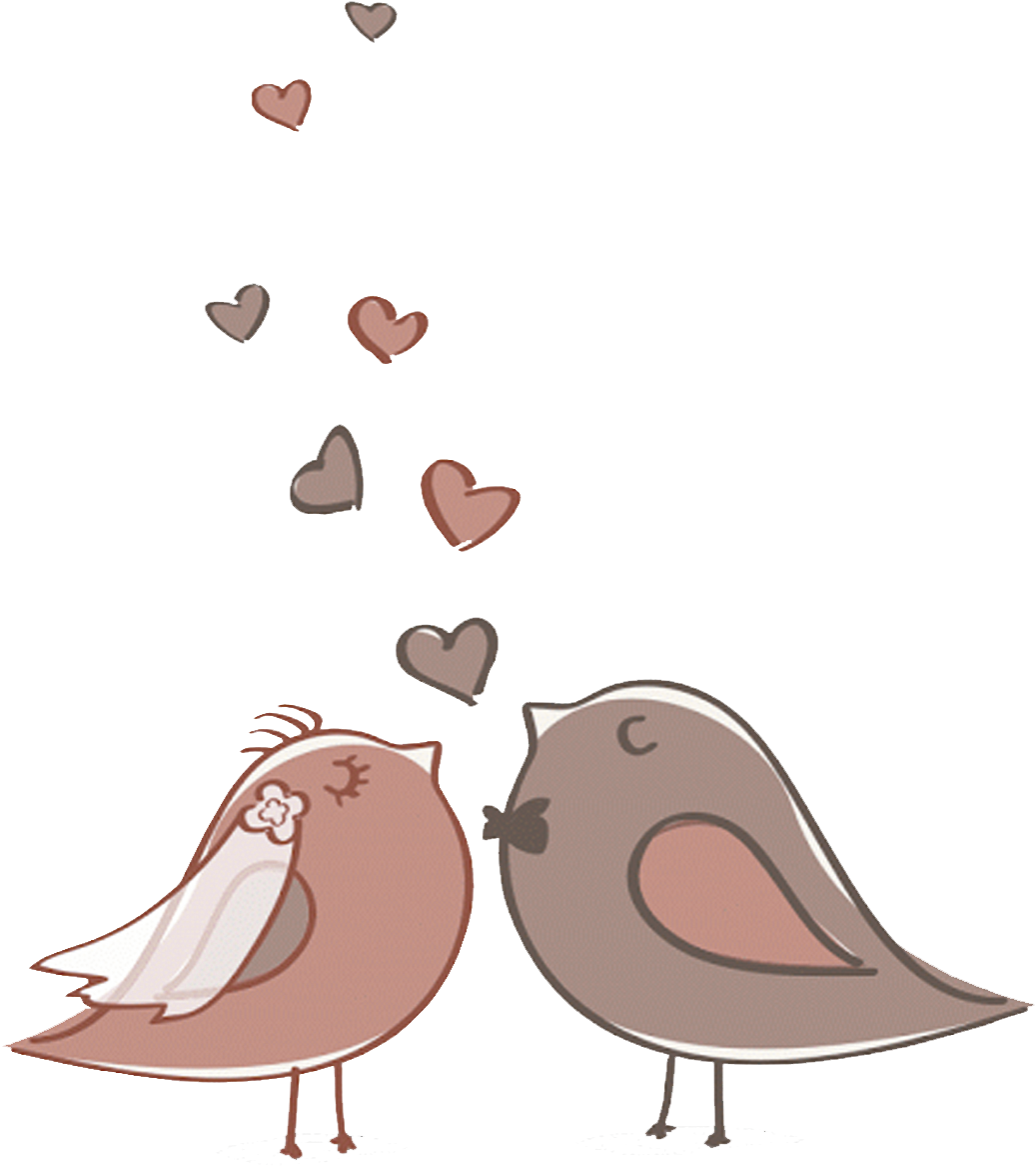 Casal De Passarinho Png - Cute Bird Vector Wedding (1037x1169)