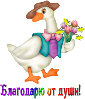 0 Bac77 C03e3966 Orig - Duck (340x401)